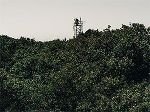 Two people standing on top of a measurement tower in the forest