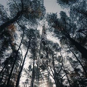 ICOS tower in an evergreen forest in Loobos, Netherlands