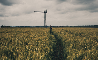 crop field