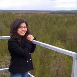 Aki Tsuruta overlooking forest from the ICOS measurement station in Pallas-Sammaltunturi.