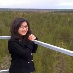 Aki Tsuruta overlooking forest from the ICOS measurement station in Pallas-Sammaltunturi.