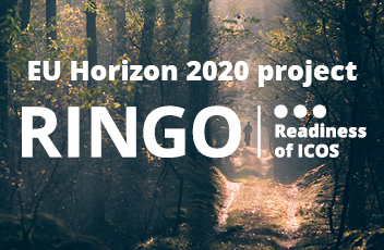 RINGO banner 4