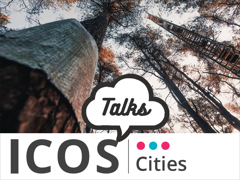 ICOS Cities Talks: Seeing the tree for the forest