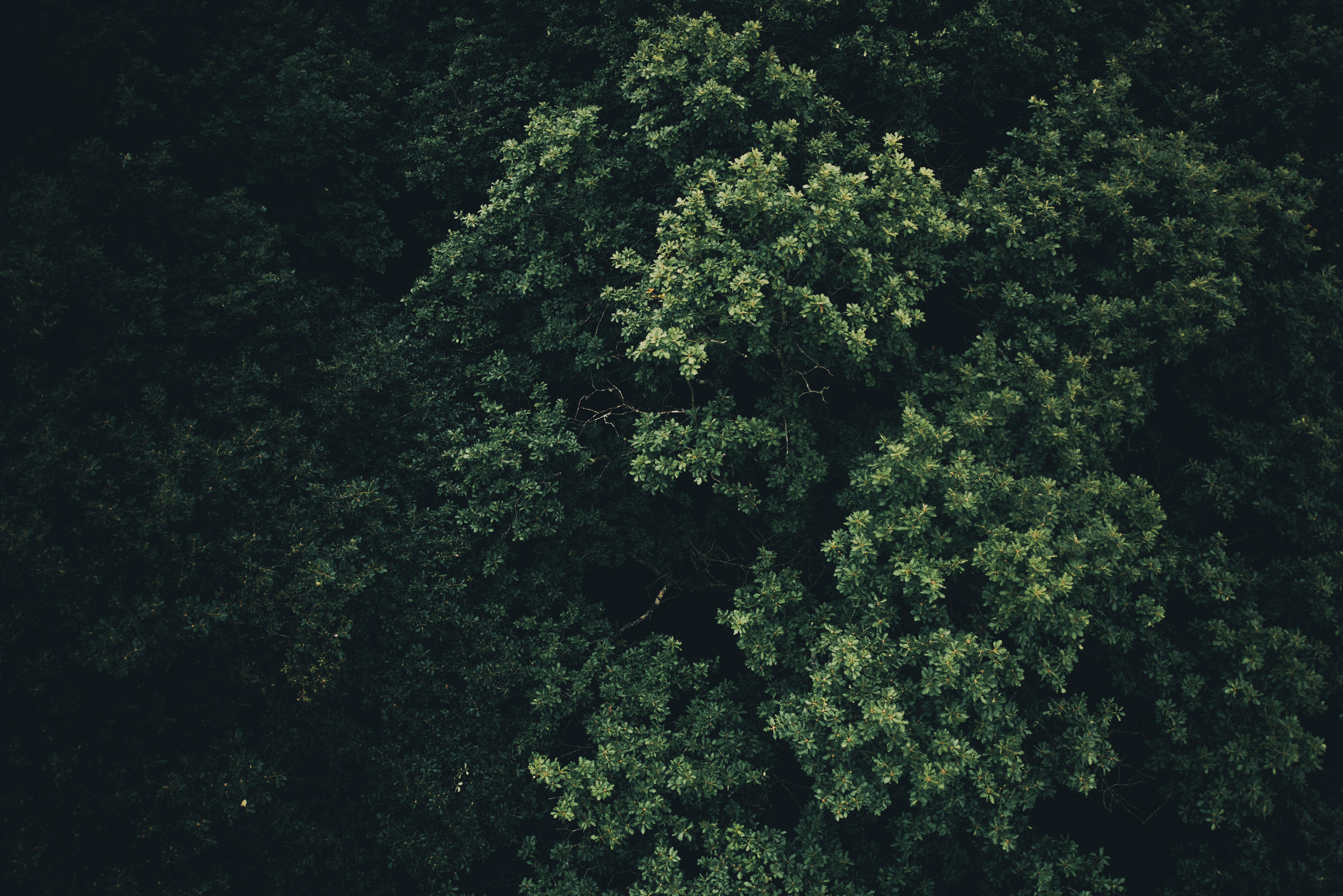 Image by Konsta Punkka for #ICOScapes