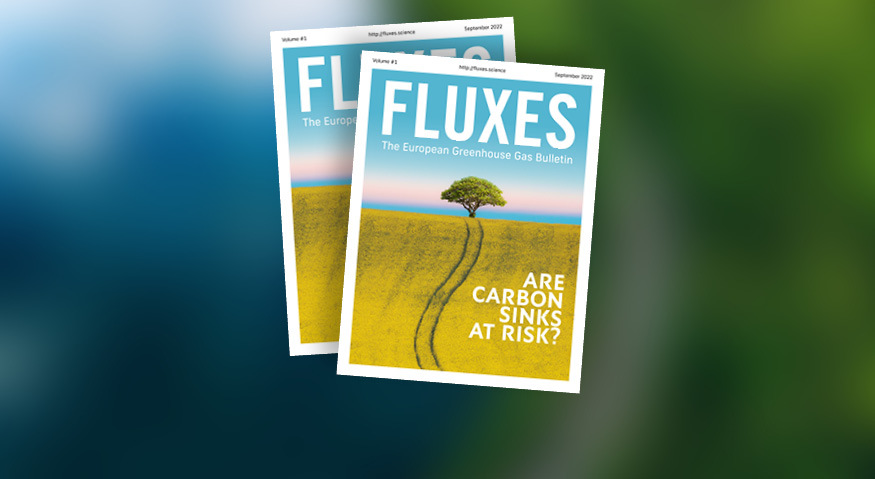 picture of the coverpage of FLUXES