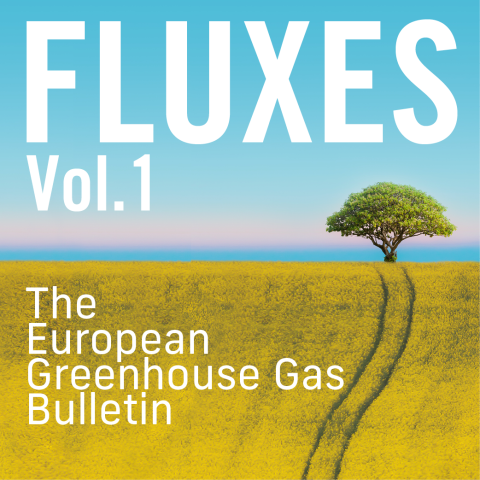 Picture of the cover page of Fluxes with a field and single tree on the horizon