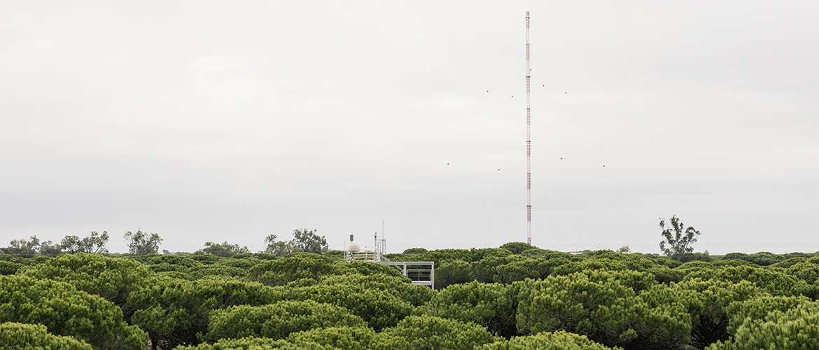 picture of the ICOS station el arenosillo