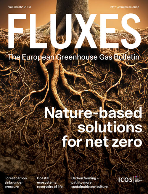 FLUXES cover 