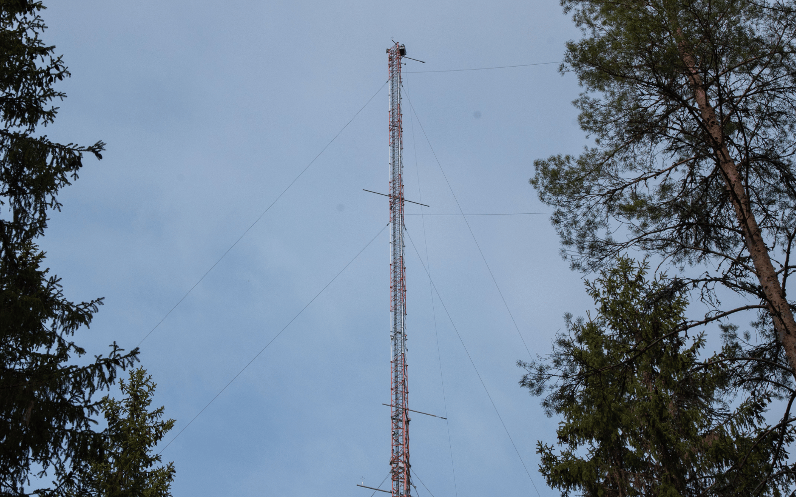 Hyytiälä tower