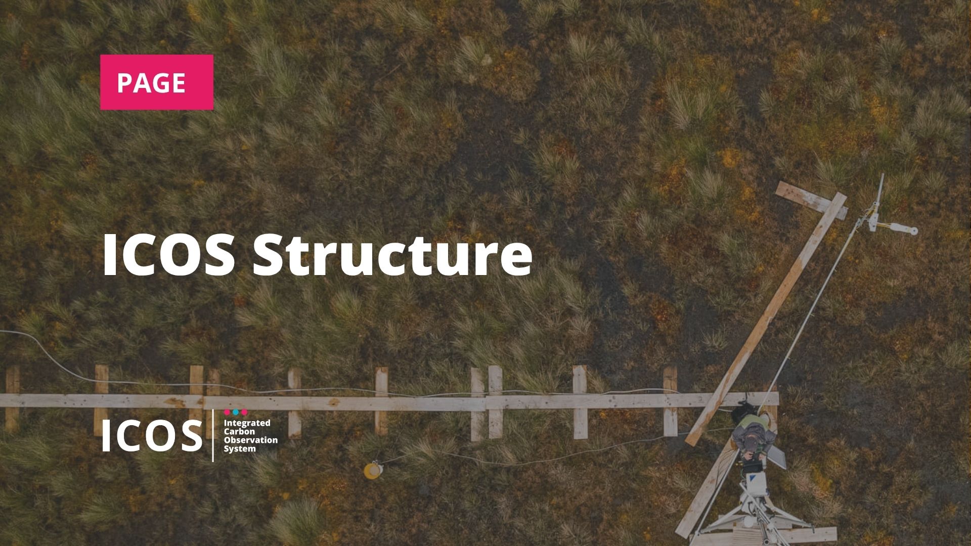 ICOS structure