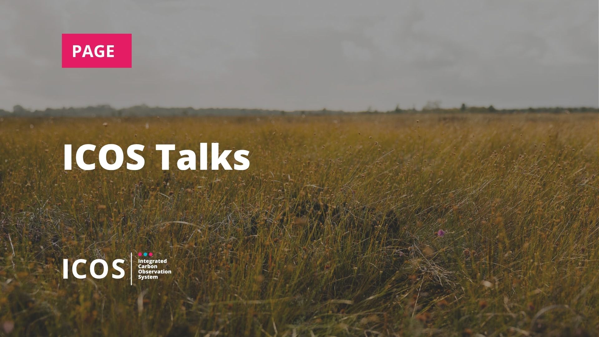 ICOS Talks webinar series