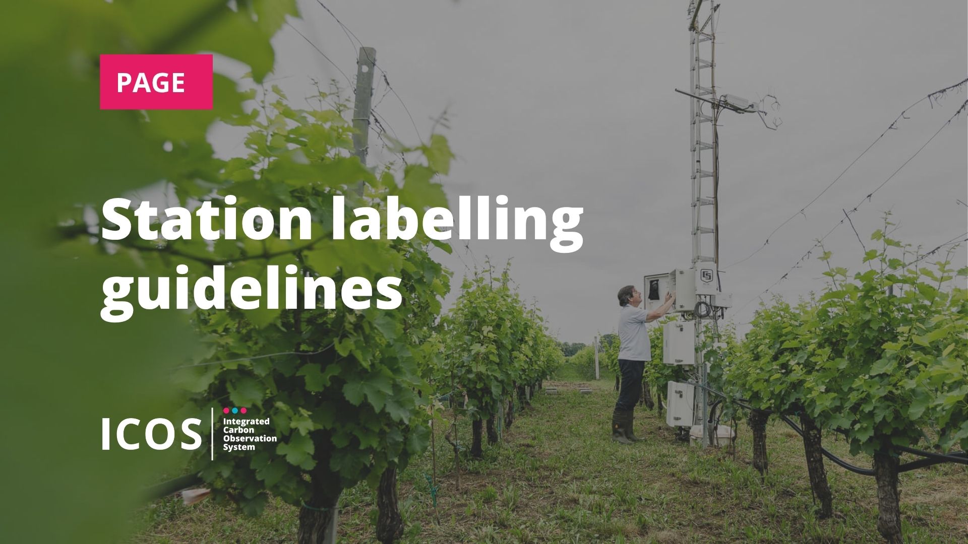 Station labelling guidelines