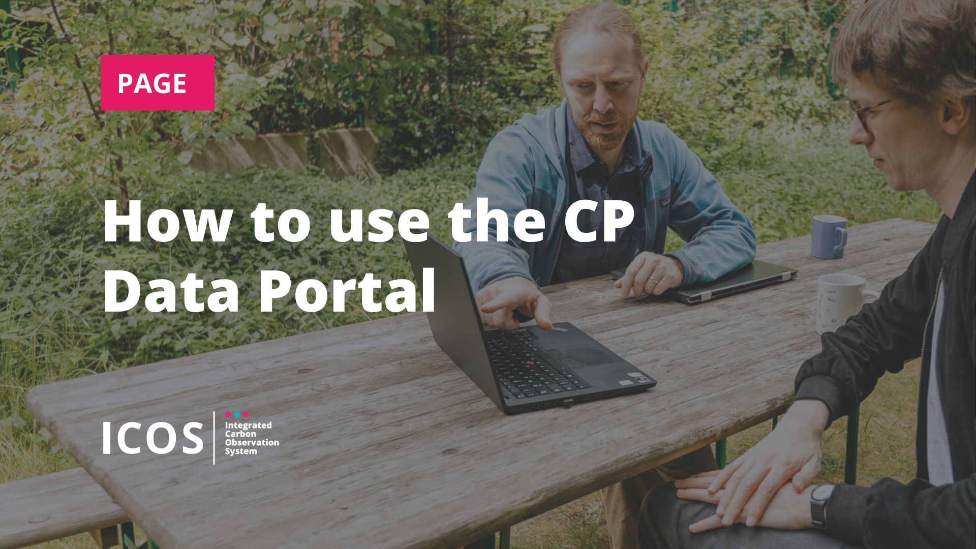 How to use ICOS data portal