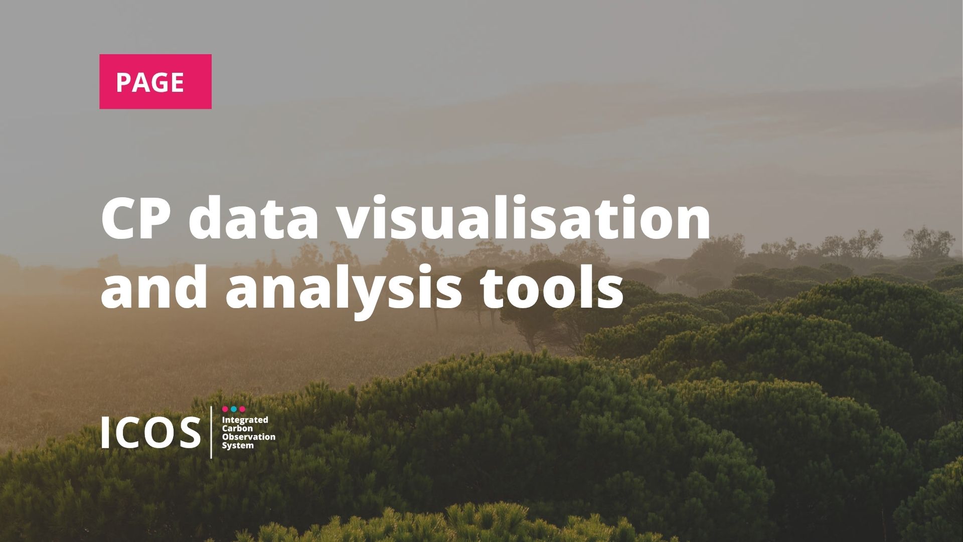 CP data visualisation and analysis tools