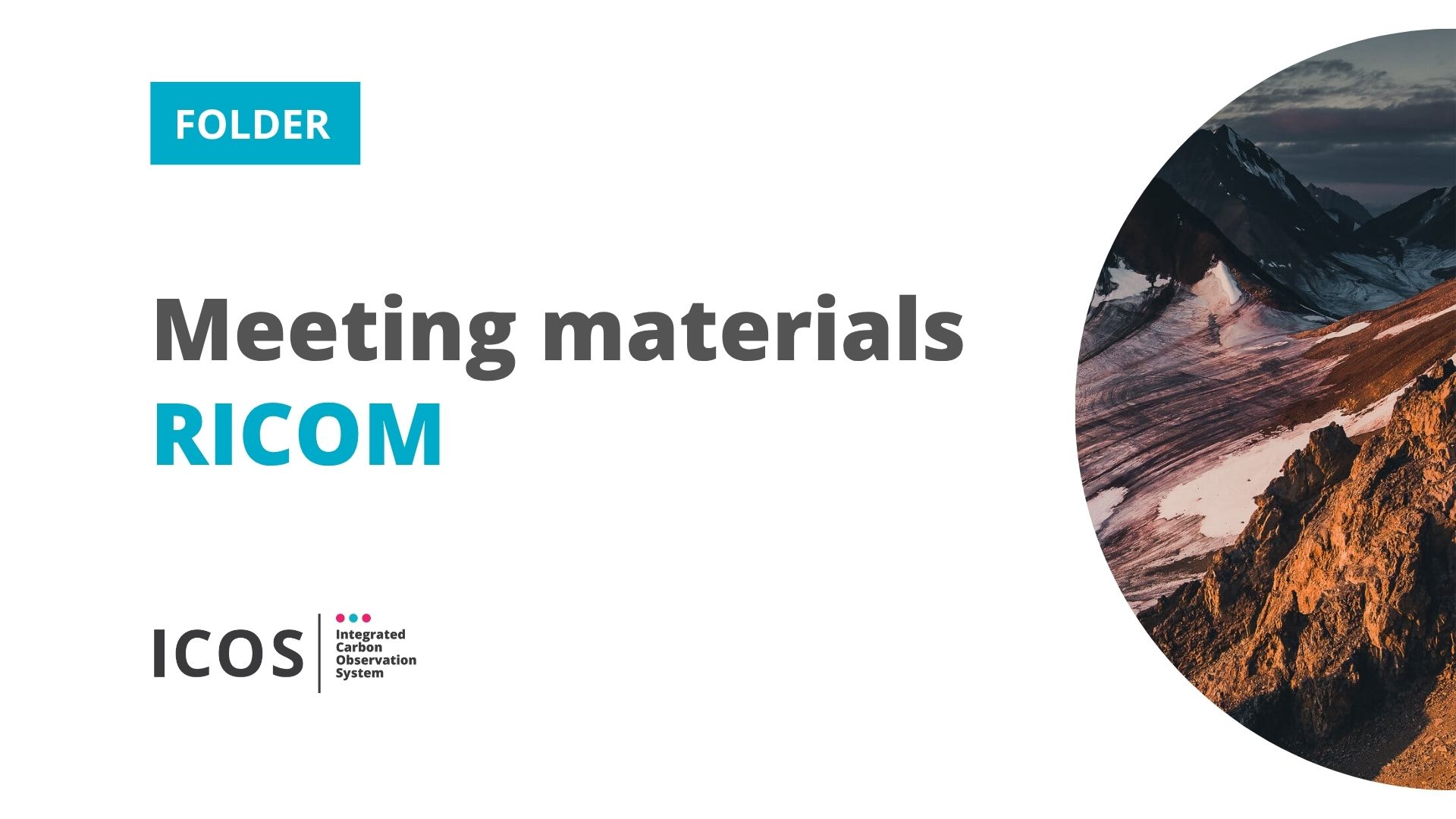 RICOM meeting materials