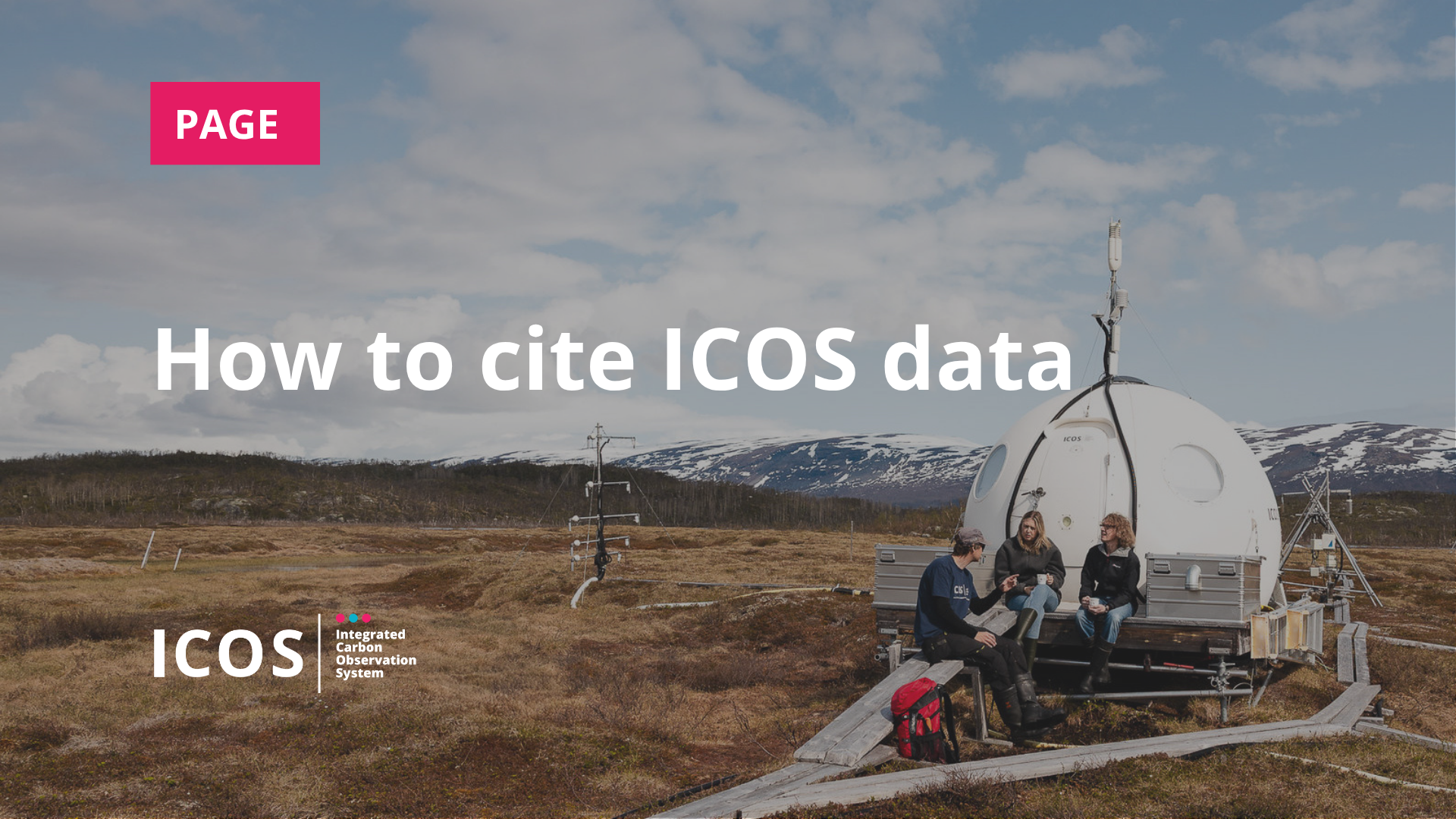 How to cite data