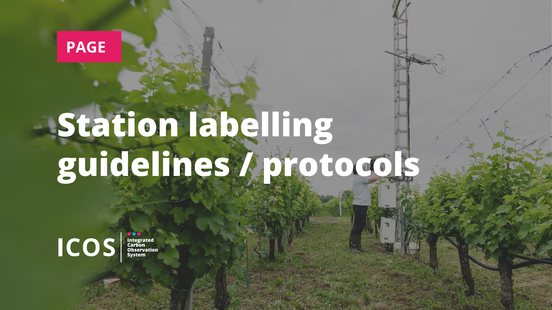 Station labelling guidelines/protocols