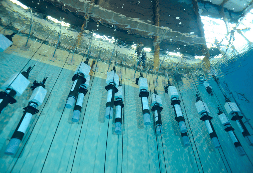 Biogeochemical Argo floats tested at Ifremer facility. Picture by Olivier Dugornay/Ifremer