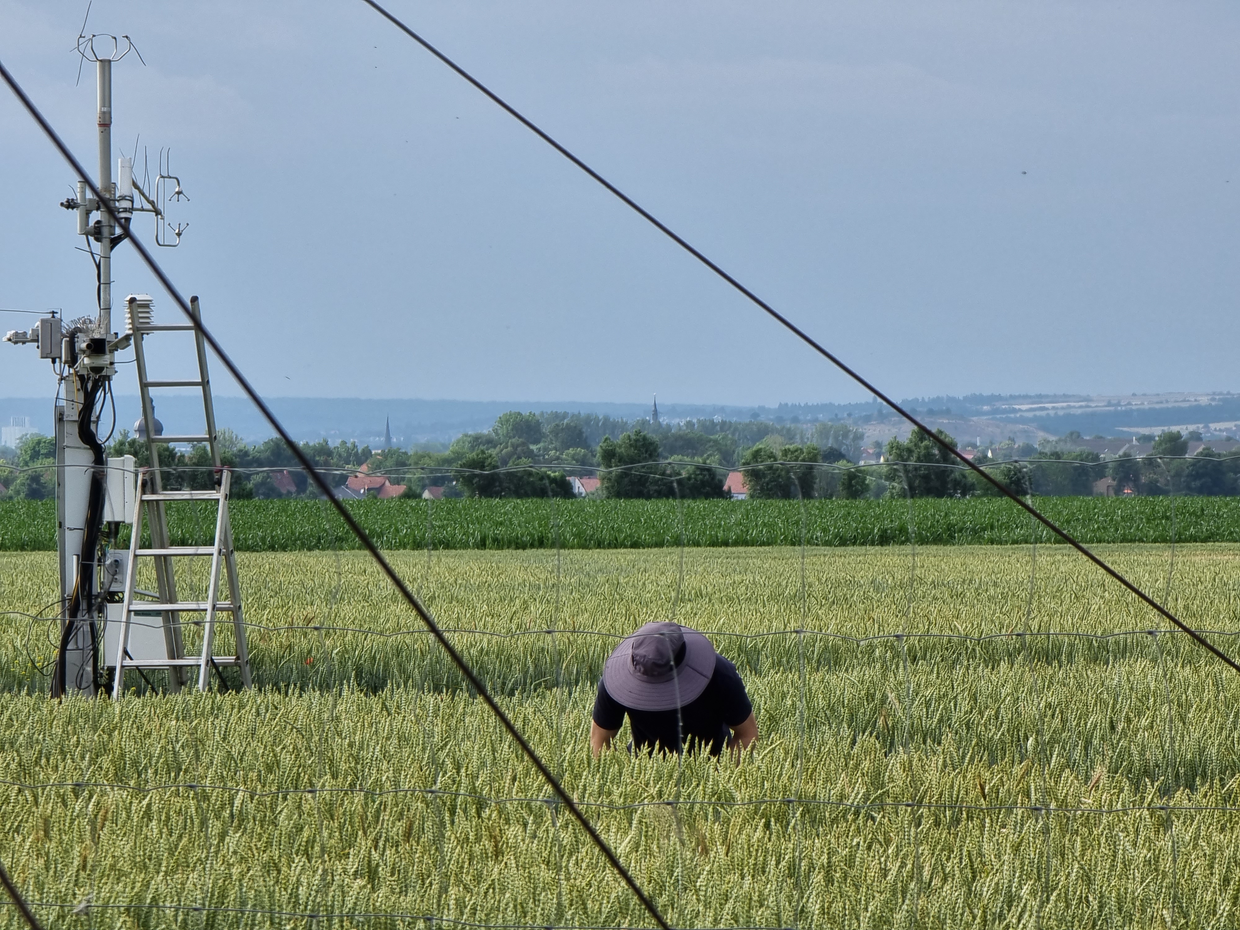 researcher working in the field