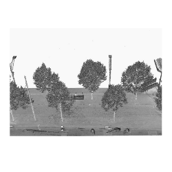 Figure 1a) Data from a 3D Scan of Ghent, Belgium. Laser scanning allows to quantify certain benefits from trees that were practically impossible to measure with conventional techniques.