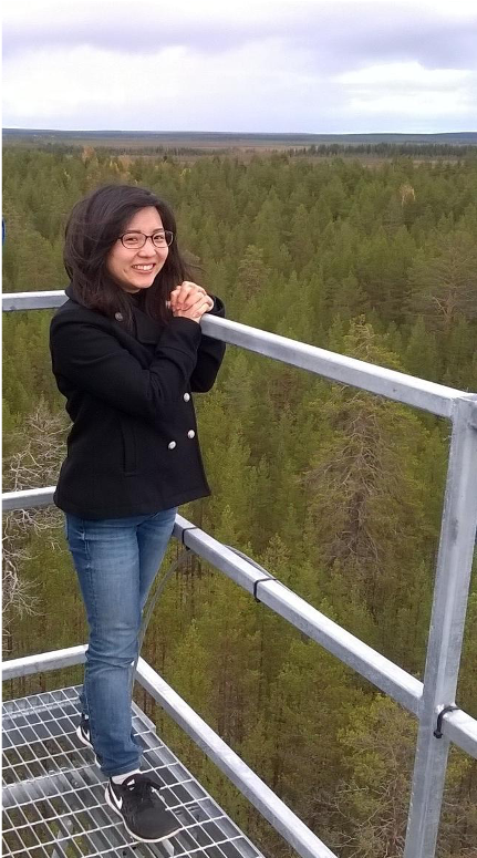 Figure 2) Aki Tsuruta overlooking forest from the ICOS measurement station in Pallas-Sammaltunturi.