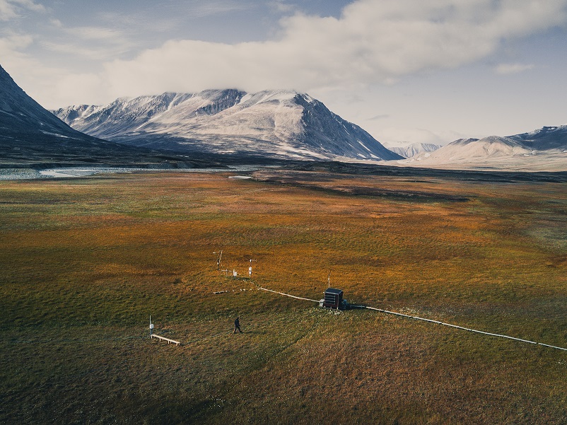 ICOScapes_Zackenberg_Fen