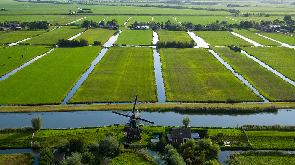 A Dutch landscape next to the Cabaux fluxes tower