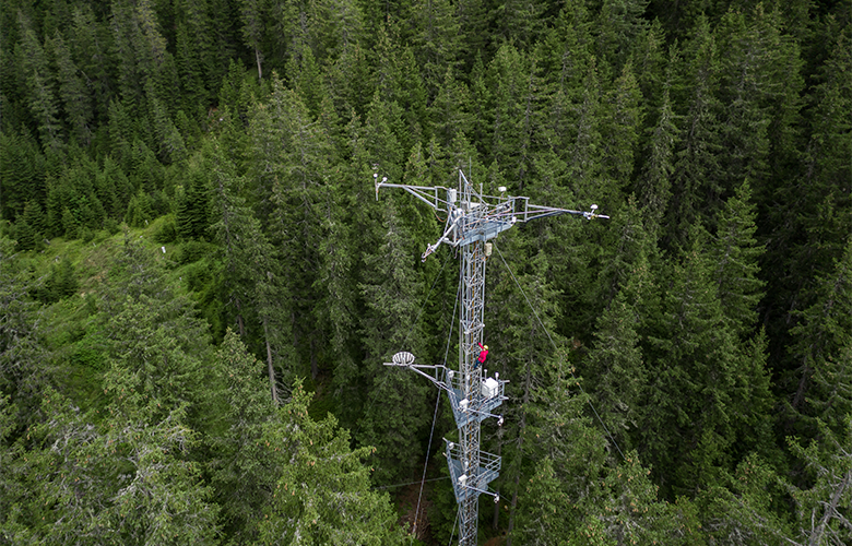 Mana Gahrun climbing on top of an eddycovariance tower