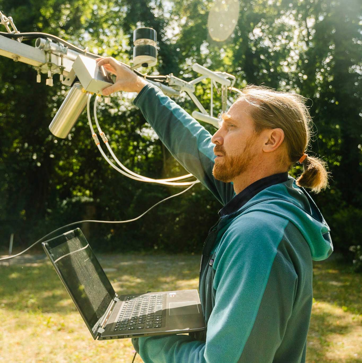 Ecosystem measurements image