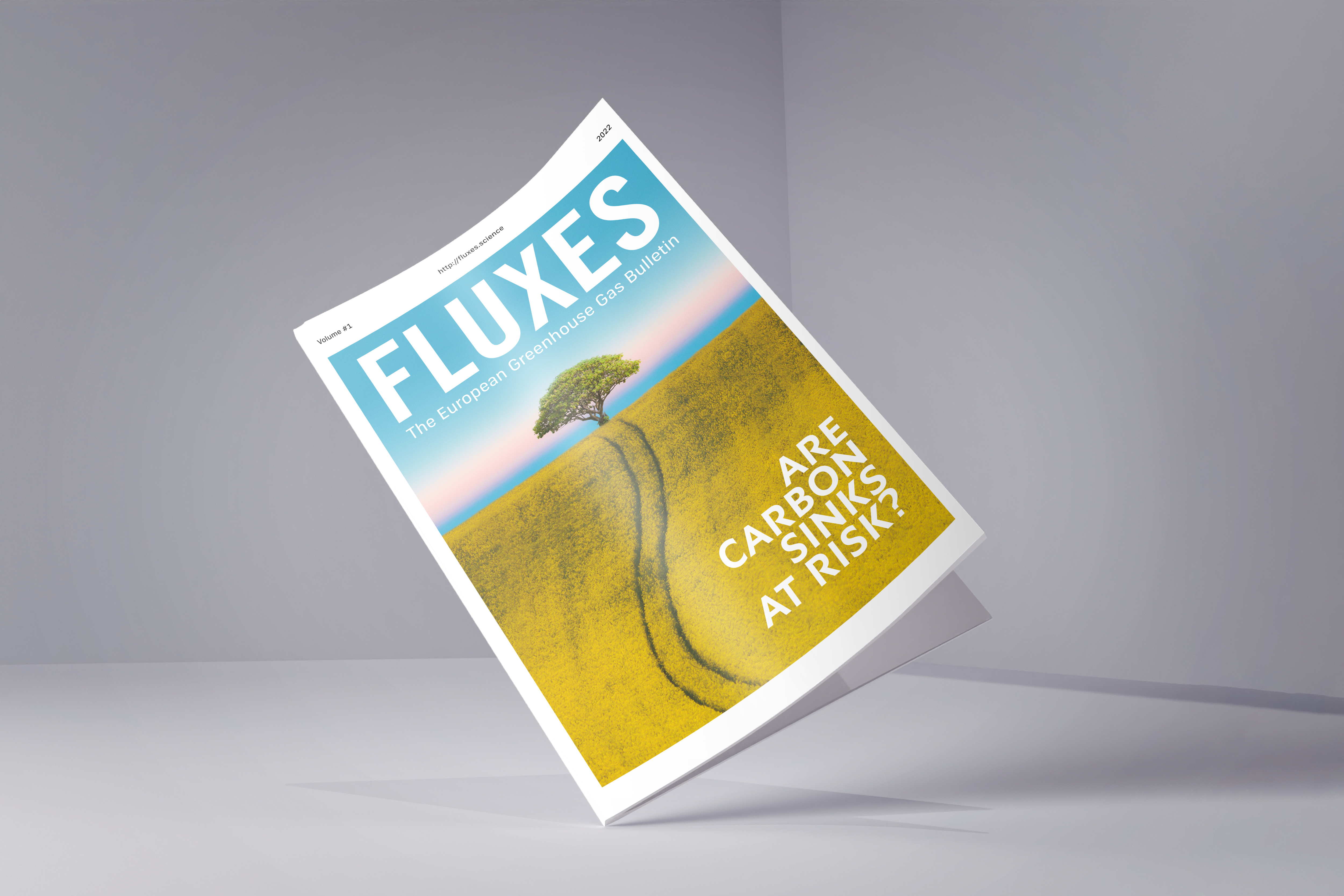 FLUXES cover pg