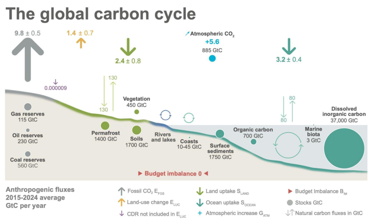 Schematic overview of the Global Carbon budget 2015-2024