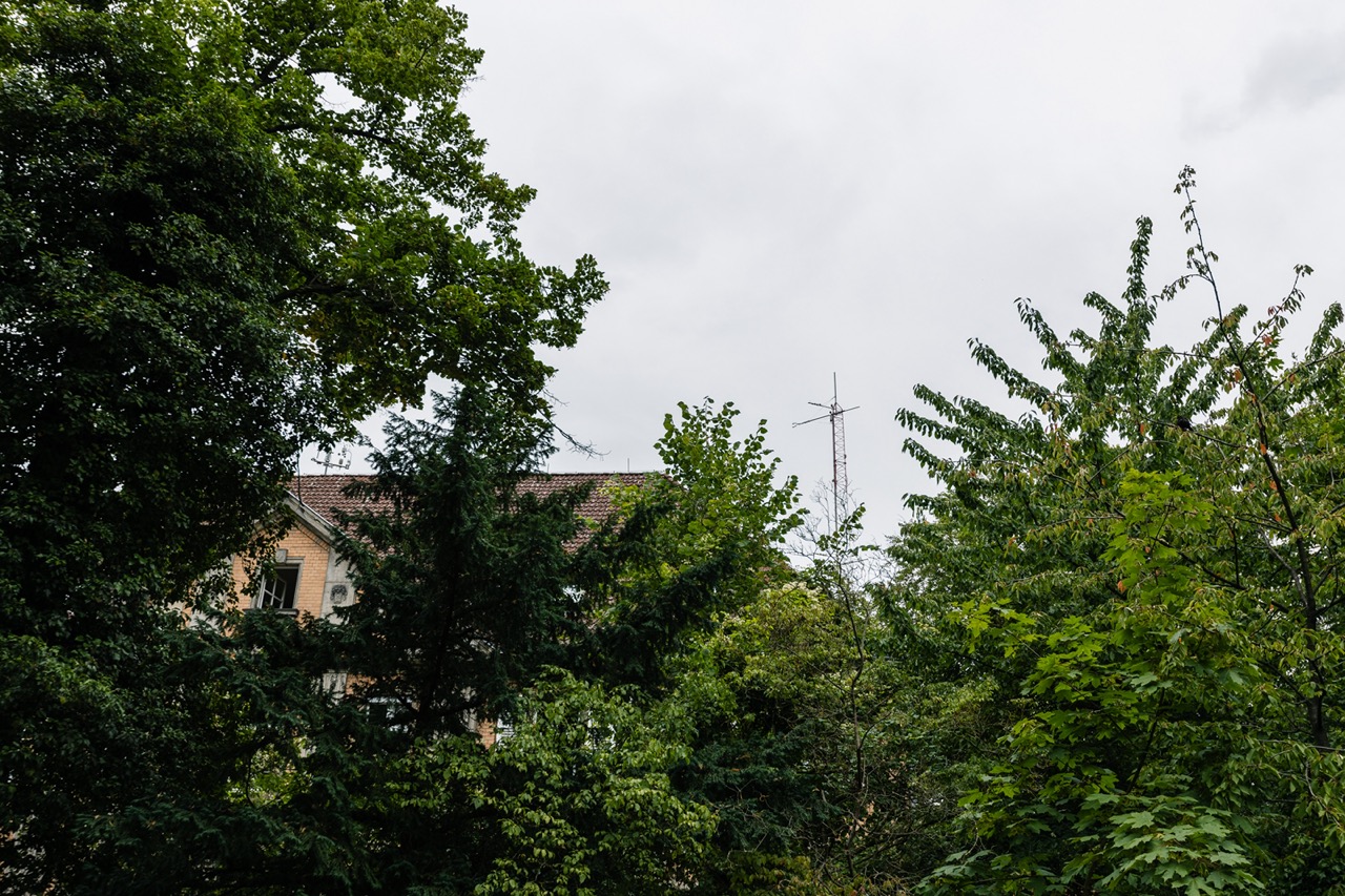 The station tower peaking from between the trees