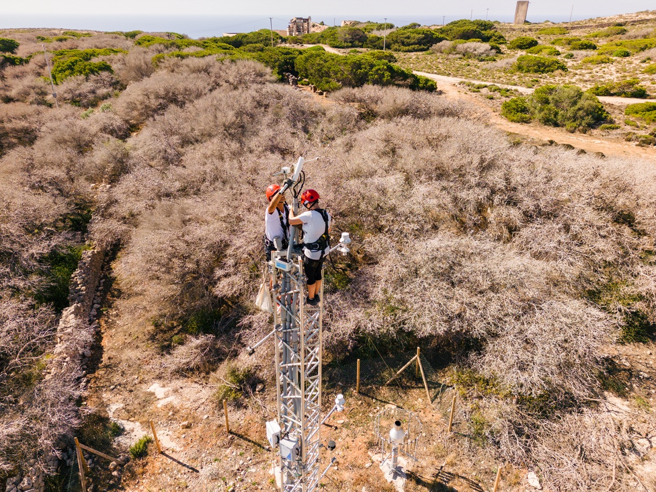 scientists climbing a measurement tower in a mediterranean environment