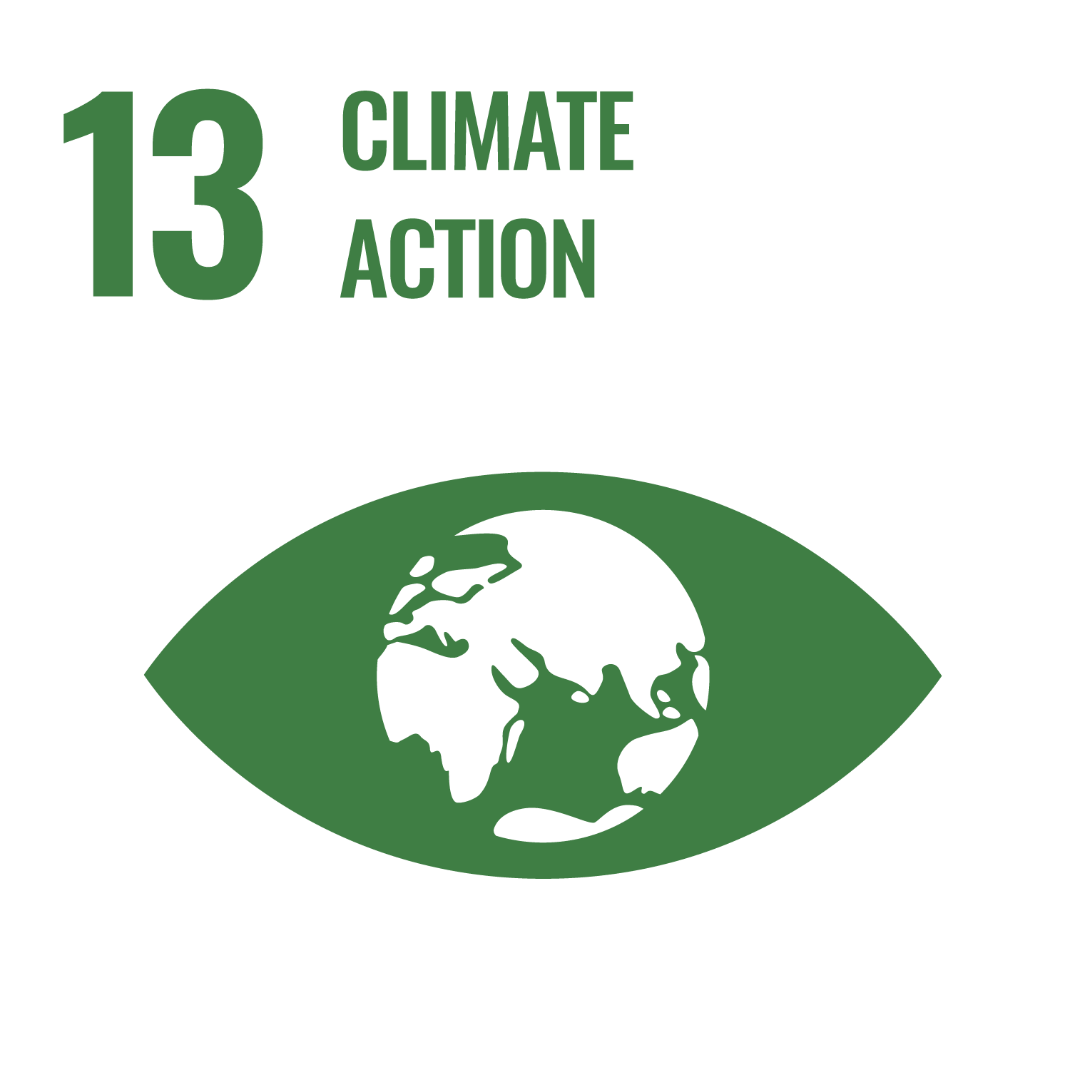 SDG 13 icon