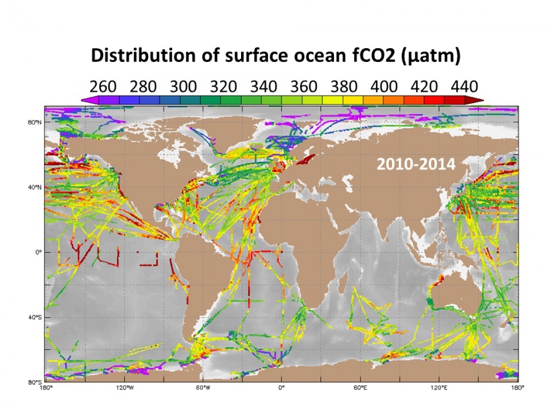 SOCAT map