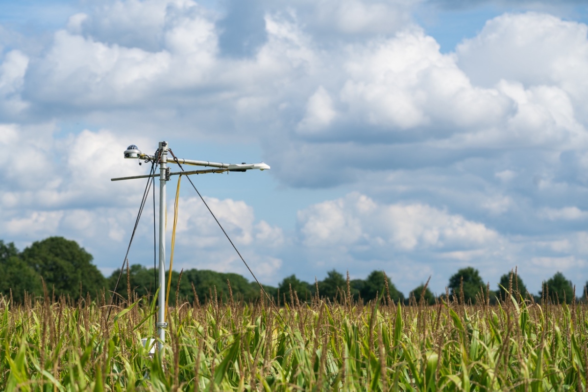 A field of grass with a pole and clouds in the sky
Description automatically generated