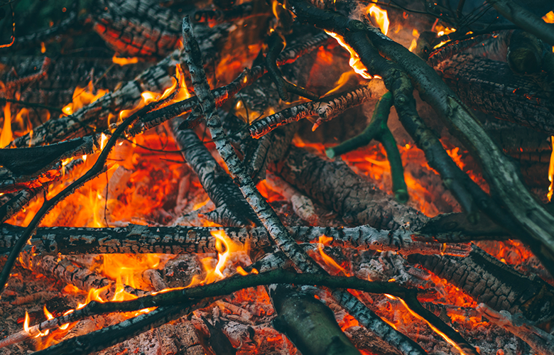 closeup of some logs burning