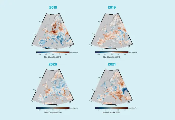 Annual mean net ecosystems