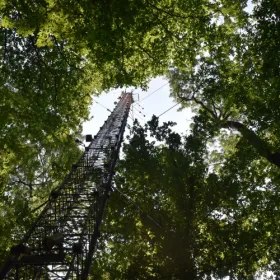 Picture of the Lanzhot station in a green forest