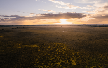 ICOS at EGU26 header