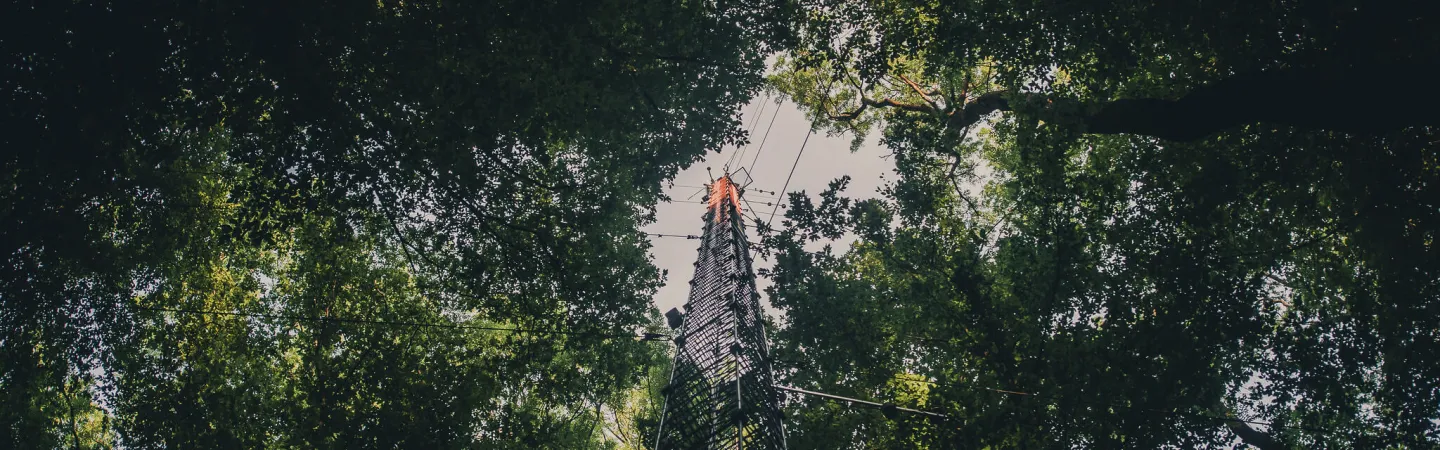 a tall atmospheric measurement tower in a green forest 
