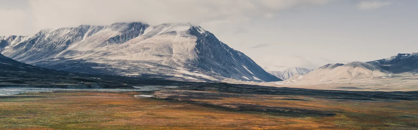 Wide Arctic tundra landscape with low vegetation in autumn colours, mountains with light snow cover in the background