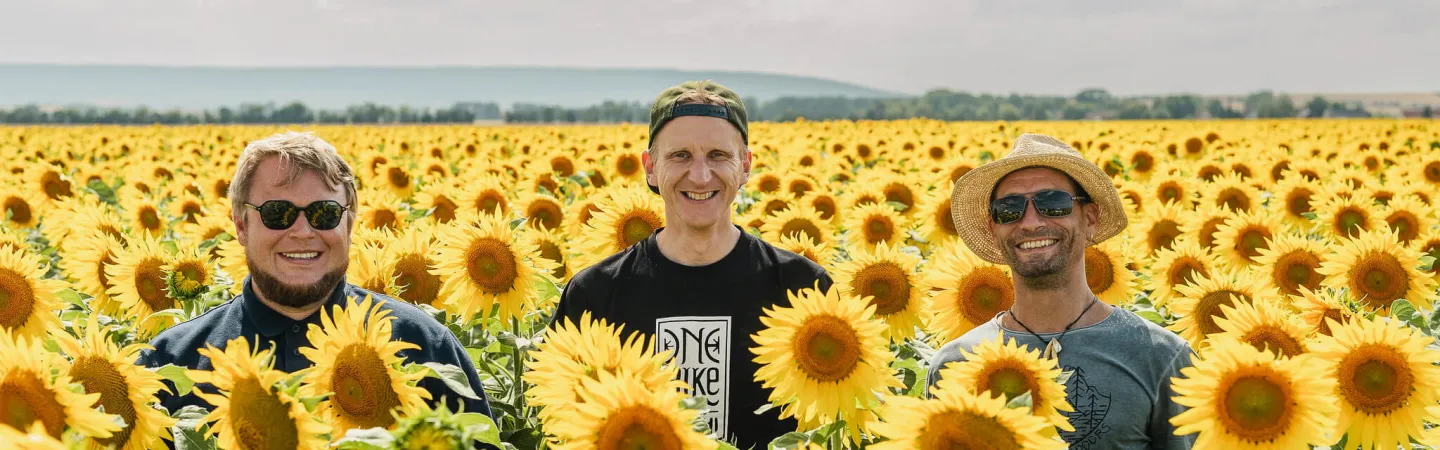 Three people standing in a sunflower field under a bright sky