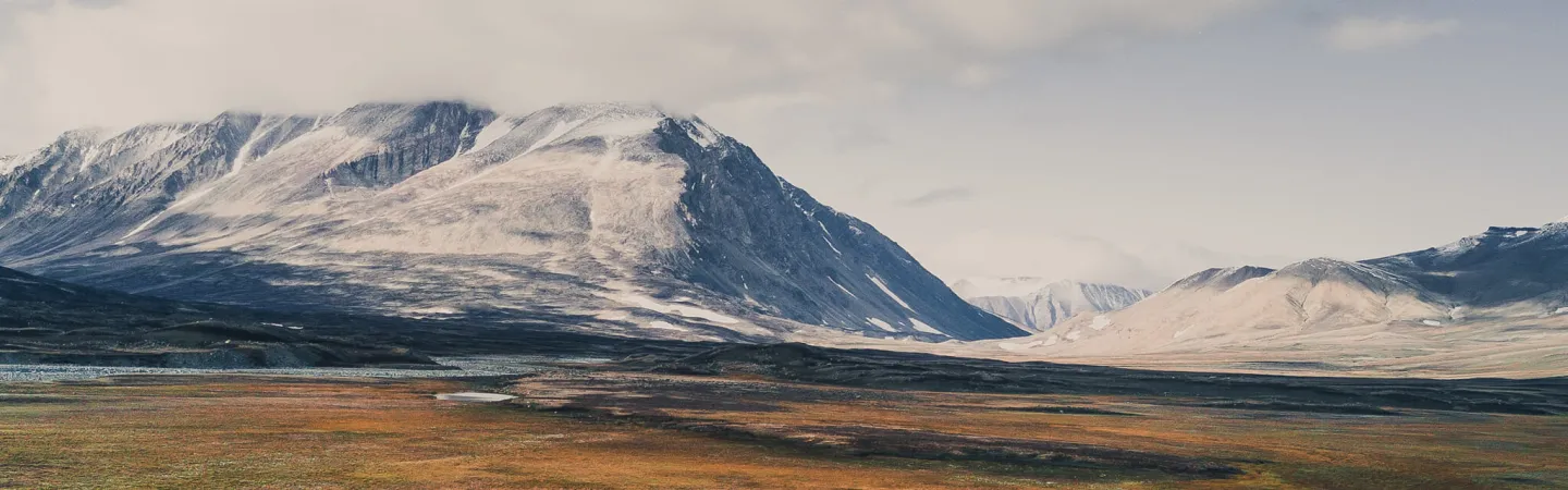 ICOS member countries