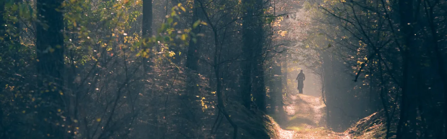 National Networks Contacts Header