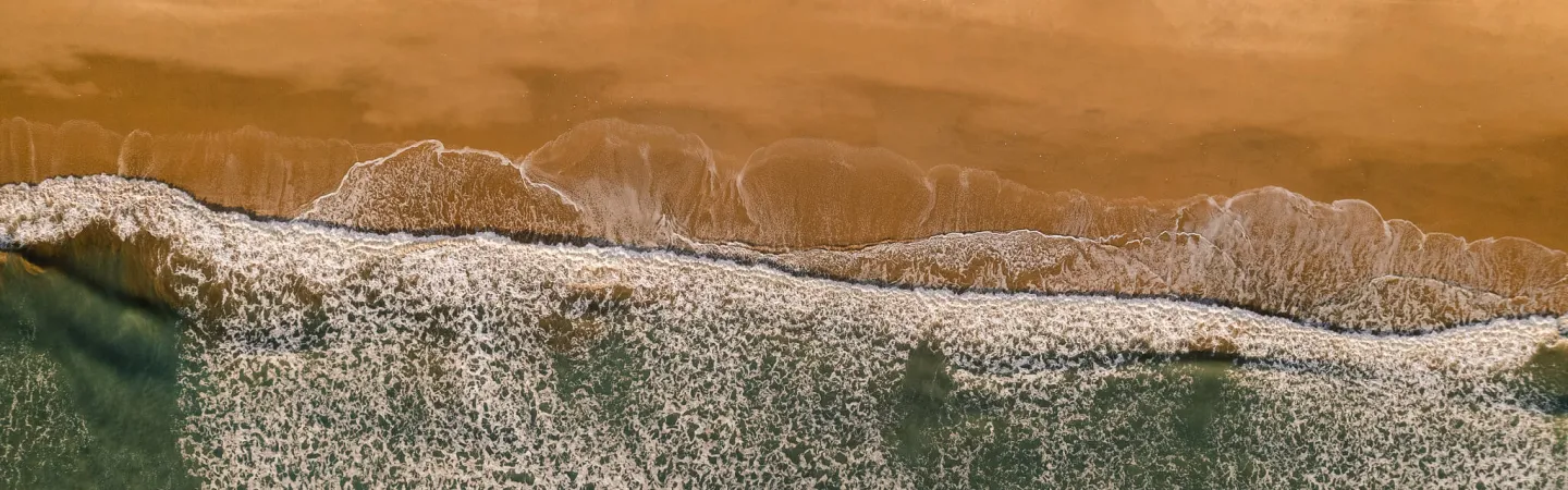 Opportunities Header