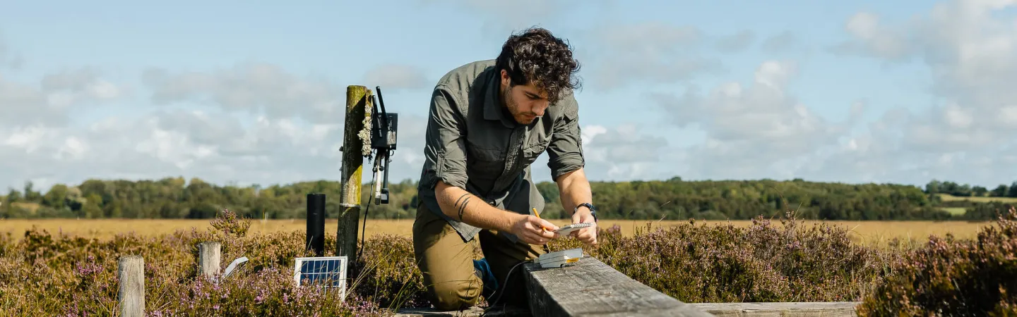 Field scientist adjusting monitoring equipment in a heathland landscape