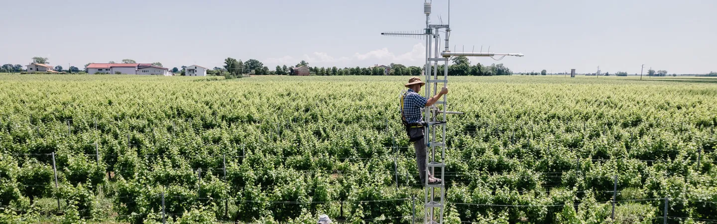 Ecosystem measurements