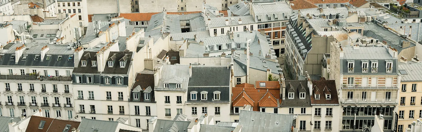 Paris rooftops