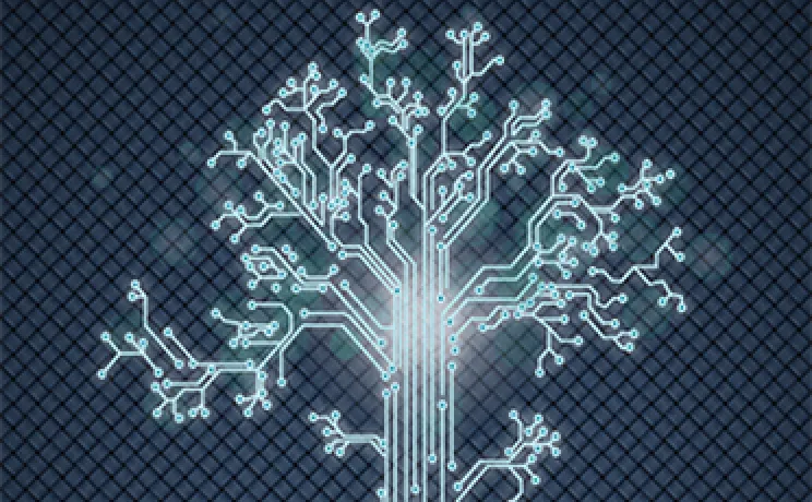 Data Portal tree